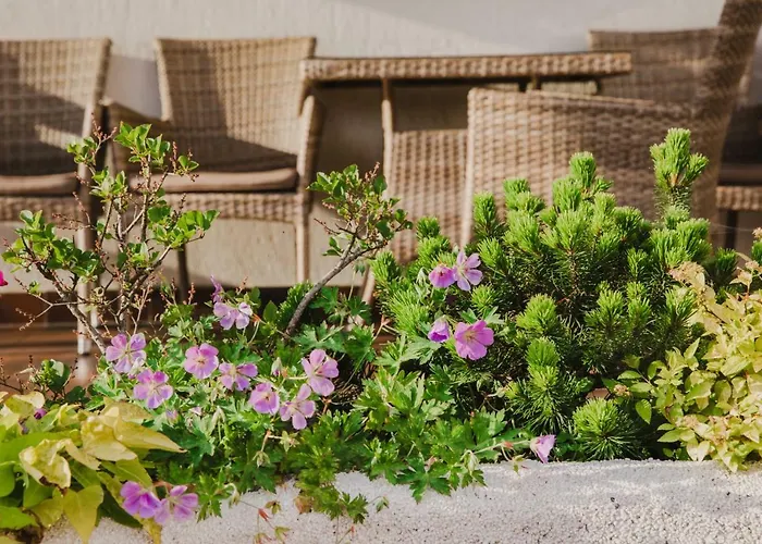 Inn Dworek Pani Walewska 3*