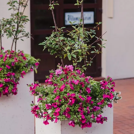 Dworek Pani Walewska 3* Gdansk