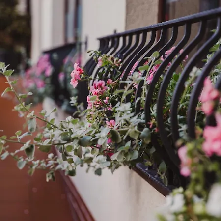 Dworek Pani Walewska 3*