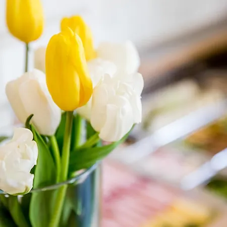 Dworek Pani Walewska Han/Misafirhane Gdansk